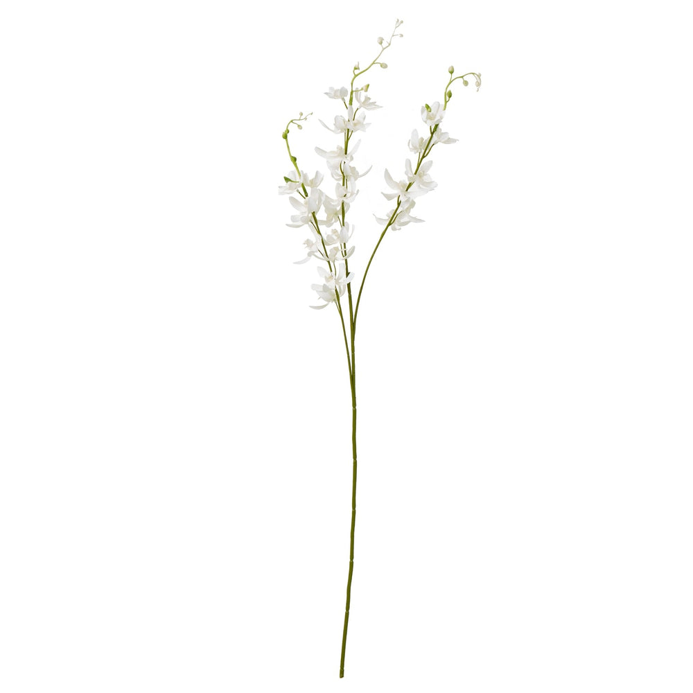 White Cymbidium Spray - Canwell Interiors Limited - Hills