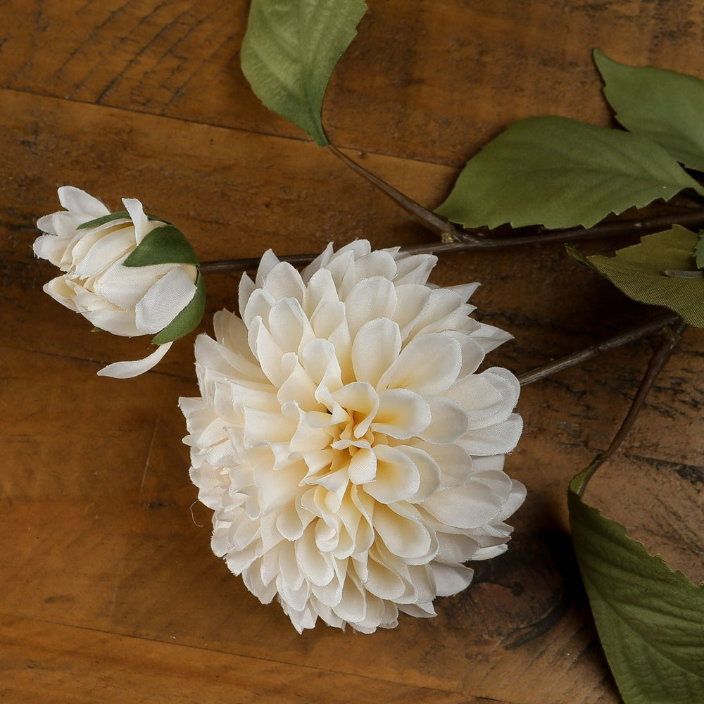 White Dahlia Stem - Canwell Interiors Limited - Hills
