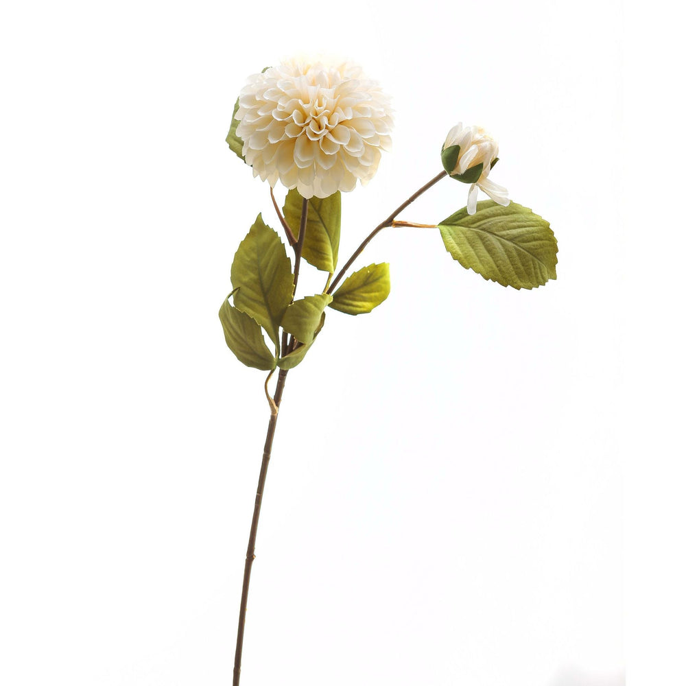 White Dahlia Stem - Canwell Interiors Limited - Hills