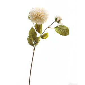 White Dahlia Stem - Canwell Interiors Limited - Hills