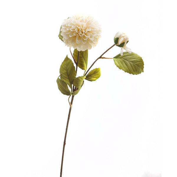 White Dahlia Stem - Canwell Interiors Limited - Hills