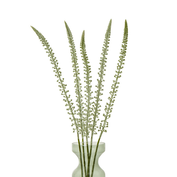 White Eremurus Stem - Canwell Interiors Limited - Hills