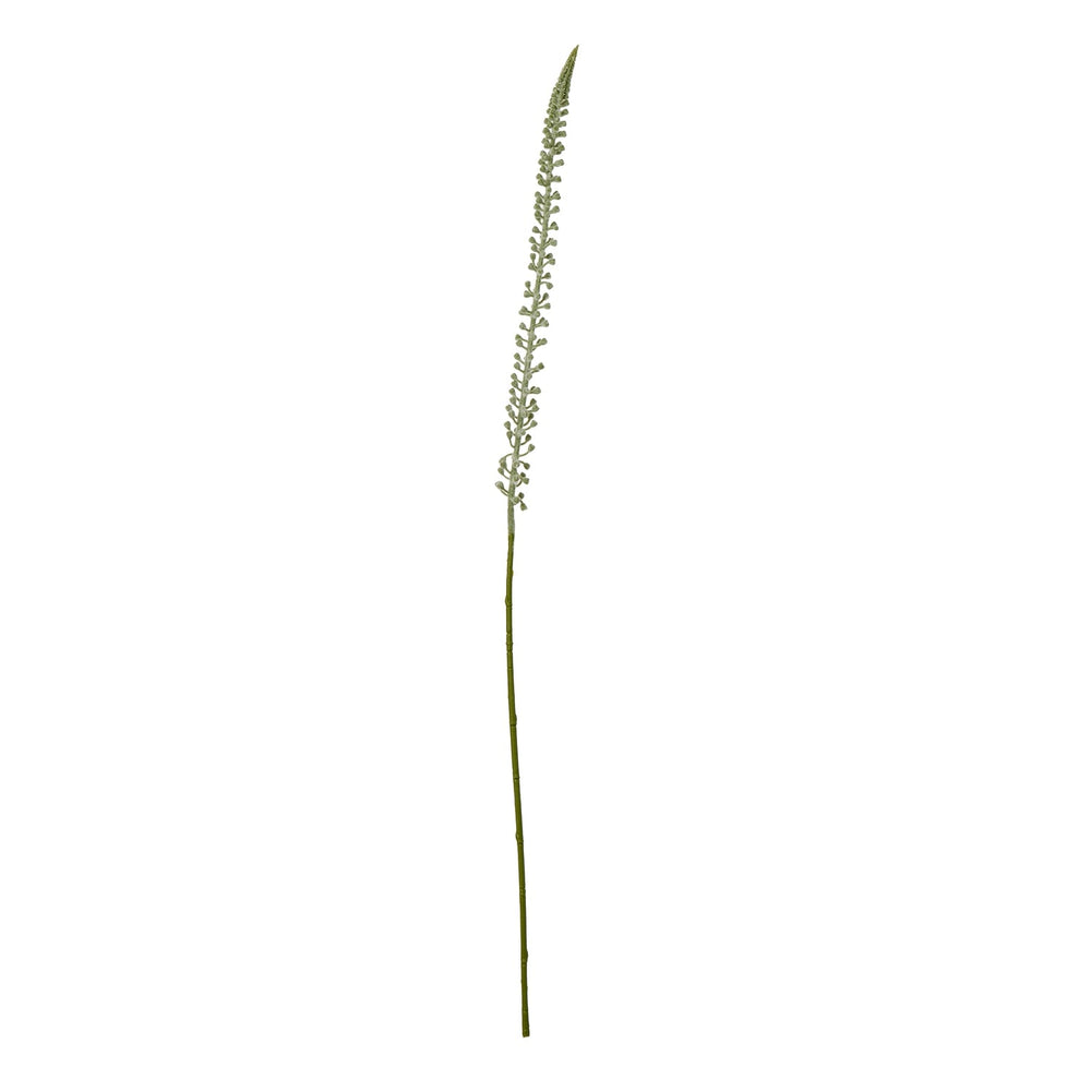 White Eremurus Stem - Canwell Interiors Limited - Hills