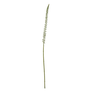 White Eremurus Stem - Canwell Interiors Limited - Hills