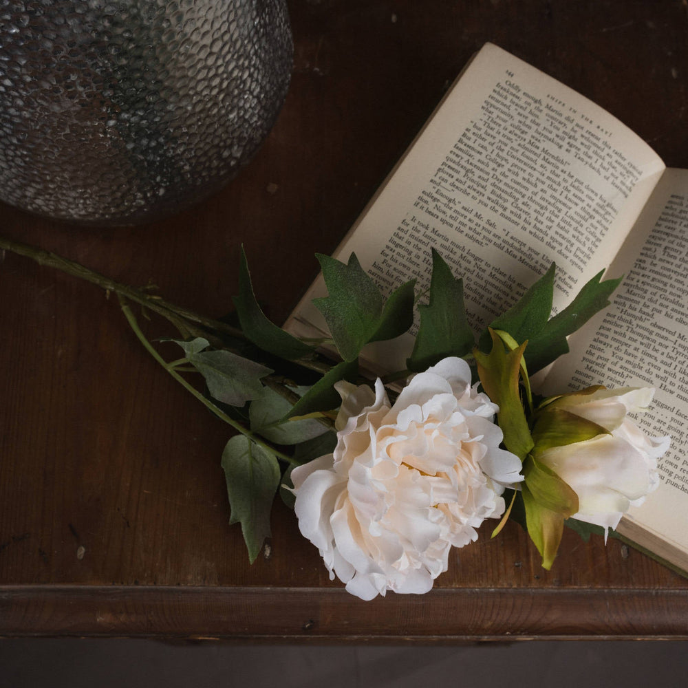 White Fashion Peony - Canwell Interiors Limited - Hills