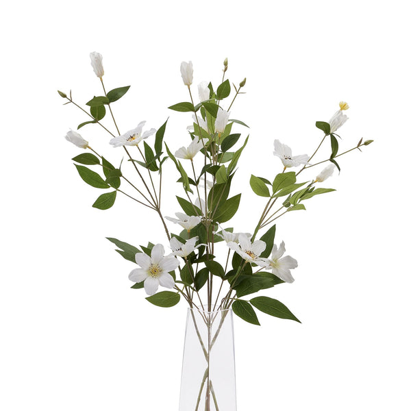 White Florida Clematis - Canwell Interiors Limited - Hills