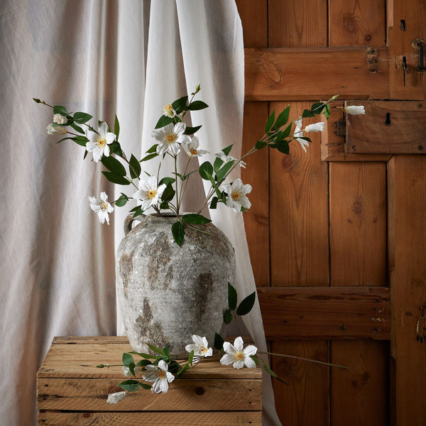 White Florida Clematis - Canwell Interiors Limited - Hills
