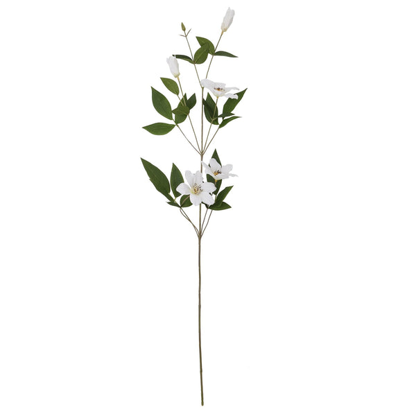 White Florida Clematis - Canwell Interiors Limited - Hills