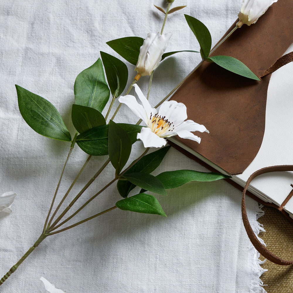 White Florida Clematis - Canwell Interiors Limited - Hills