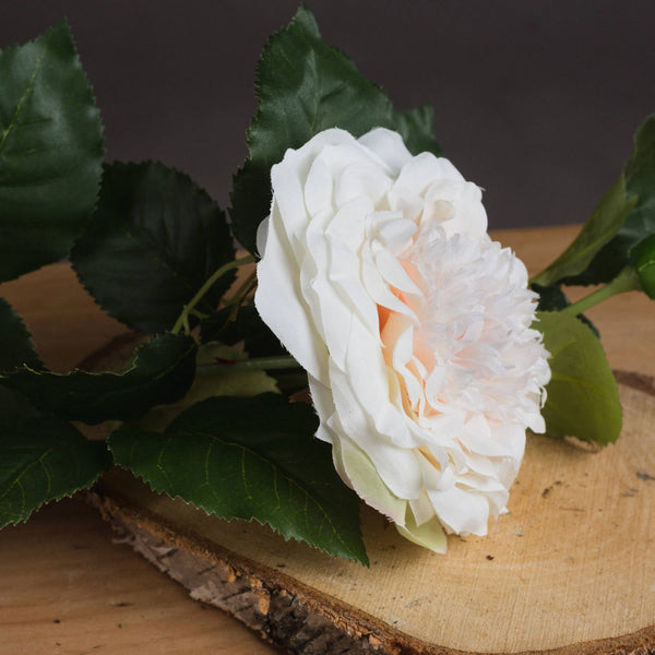White Garden Rose Spray - Canwell Interiors Limited - Hills