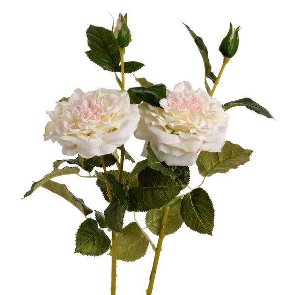 White Garden Rose Spray - Canwell Interiors Limited - Hills