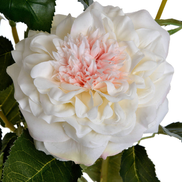 White Garden Rose Spray - Canwell Interiors Limited - Hills