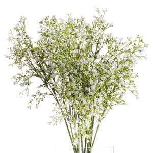 White Gypsophila Spray - Canwell Interiors Limited - Hills