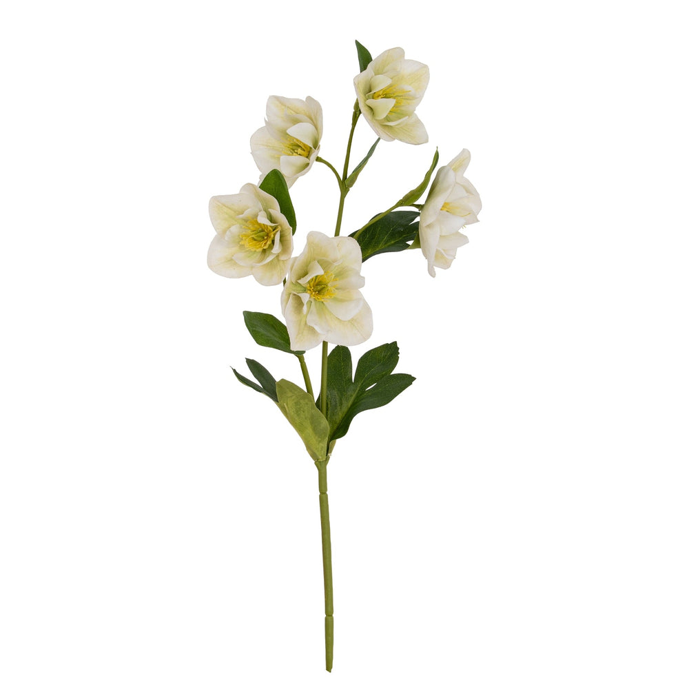 White Hellebore Stem - Canwell Interiors Limited - Hills