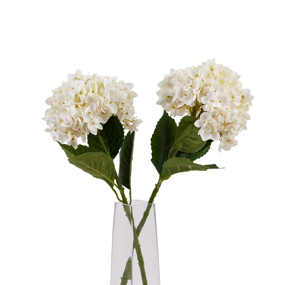 White Hydrangea Stem - Canwell Interiors Limited - Hills