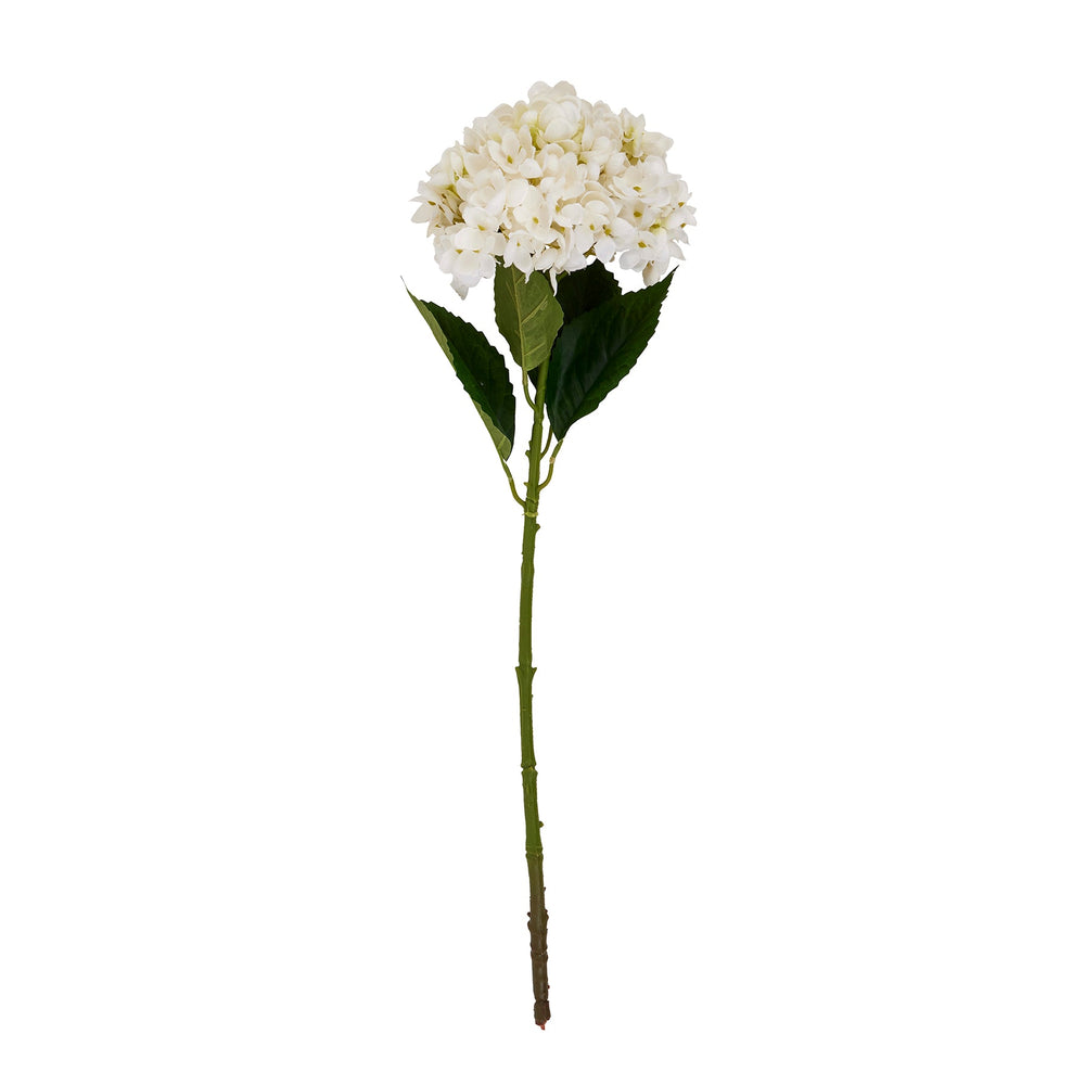 White Hydrangea Stem - Canwell Interiors Limited - Hills