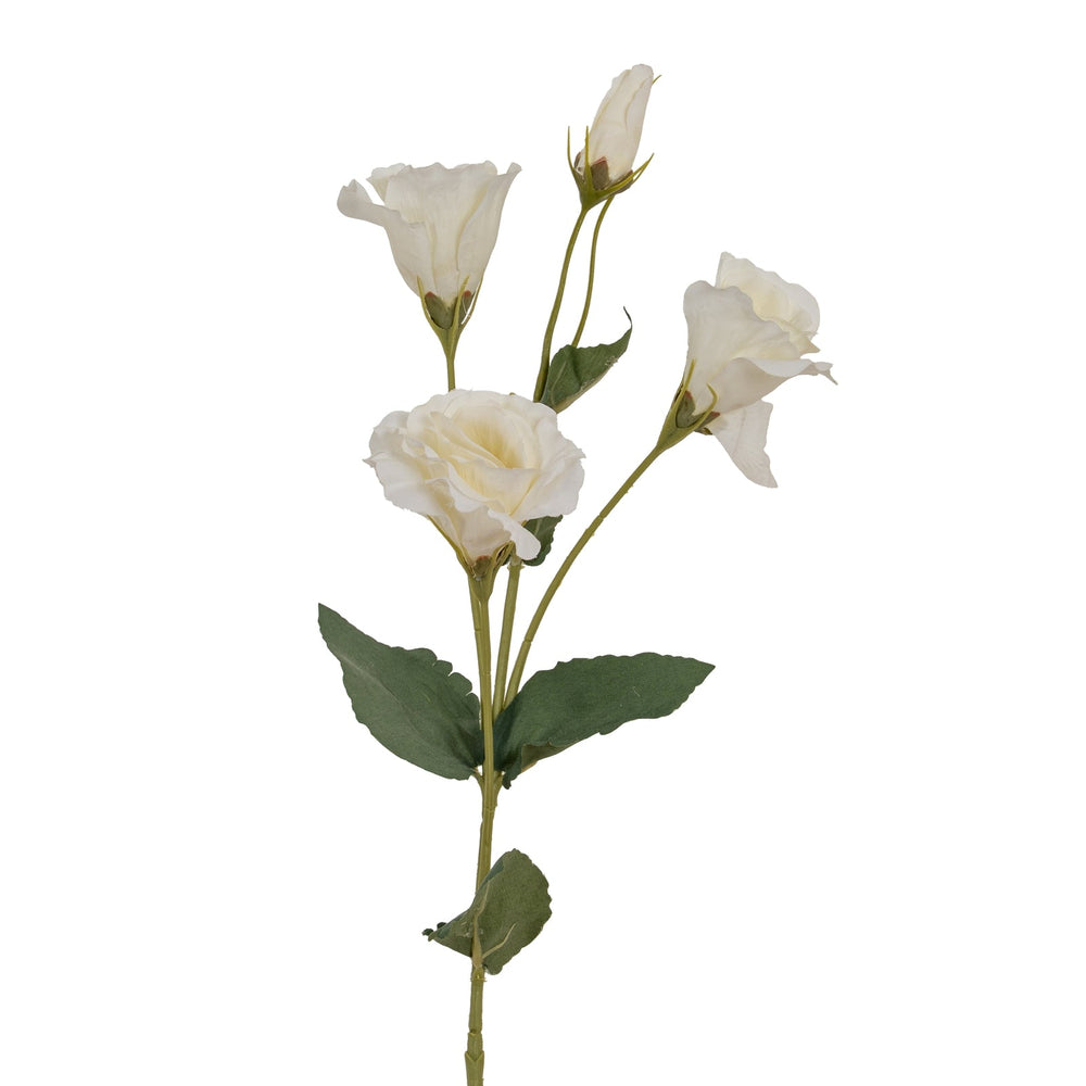 White Lisianthus Spray - Canwell Interiors Limited - Hills