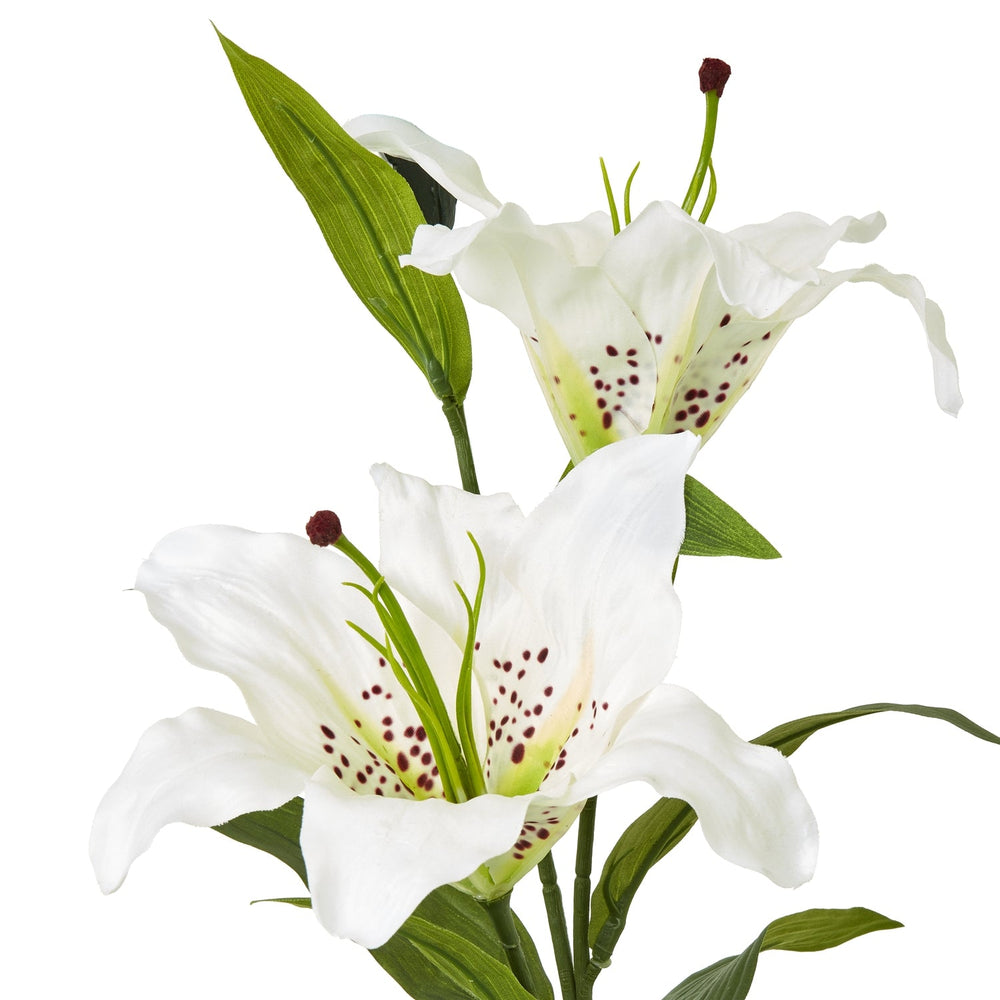 White Madonna Lily Spray - Canwell Interiors Limited - Hills