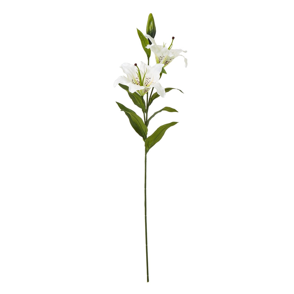 White Madonna Lily Spray - Canwell Interiors Limited - Hills