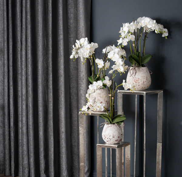 White Orchid In Stone Pot - Canwell Interiors Limited - Hills
