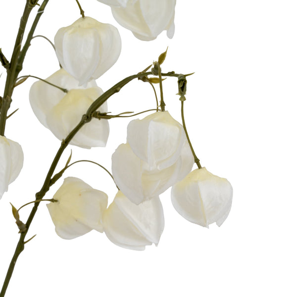 White Physalis Spray - Canwell Interiors Limited - Hills