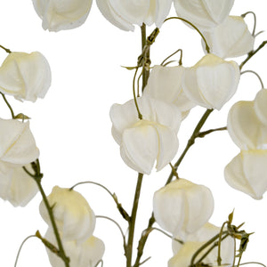 White Physalis Spray - Canwell Interiors Limited - Hills