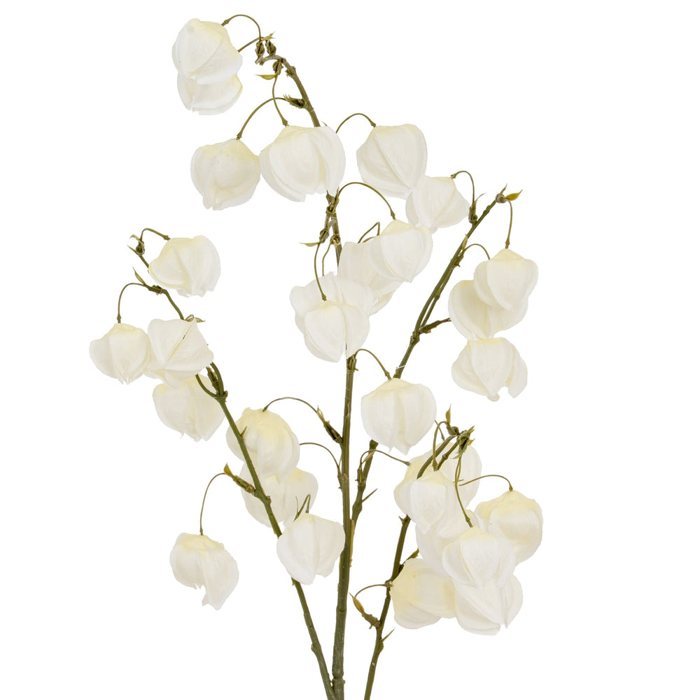 White Physalis Spray - Canwell Interiors Limited - Hills
