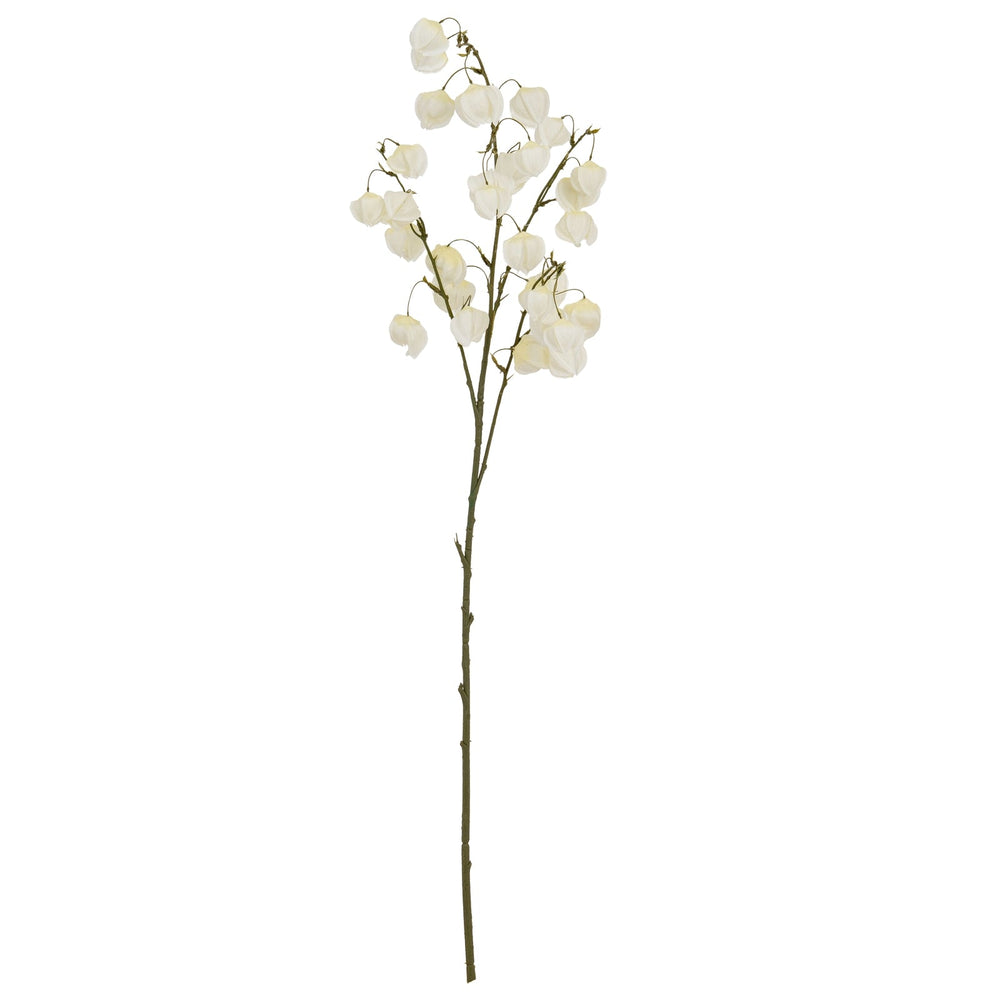 White Physalis Spray - Canwell Interiors Limited - Hills