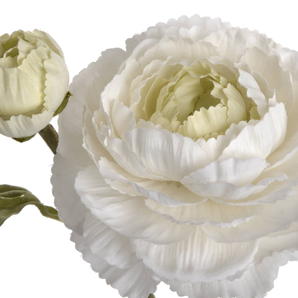 White Ranunculus Spray - Canwell Interiors Limited - Hills