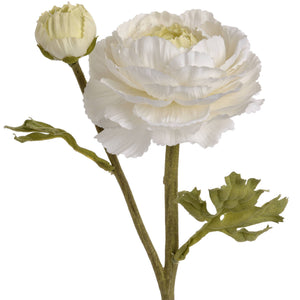 White Ranunculus Spray - Canwell Interiors Limited - Hills