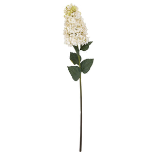 White Spear Hydrangea - Canwell Interiors Limited - Hills