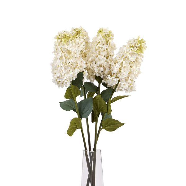 White Spear Hydrangea - Canwell Interiors Limited - Hills