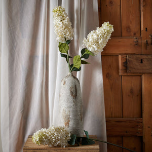 White Spear Hydrangea - Canwell Interiors Limited - Hills