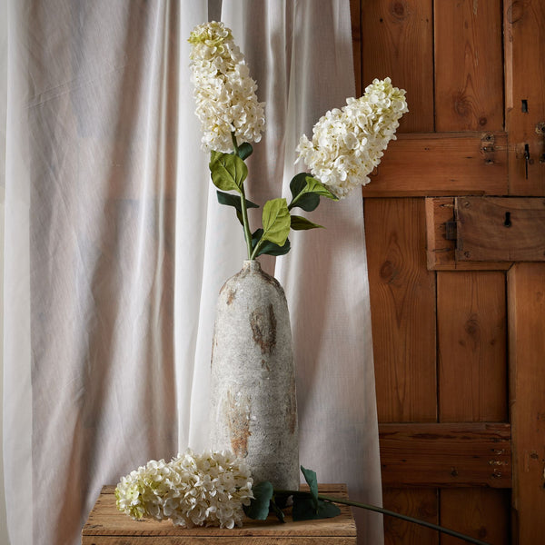 White Spear Hydrangea - Canwell Interiors Limited - Hills