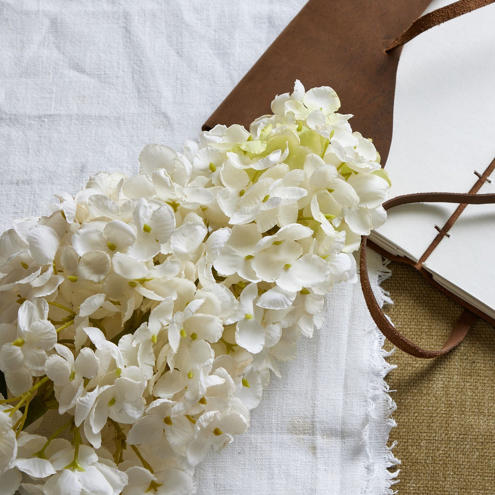 White Spear Hydrangea - Canwell Interiors Limited - Hills