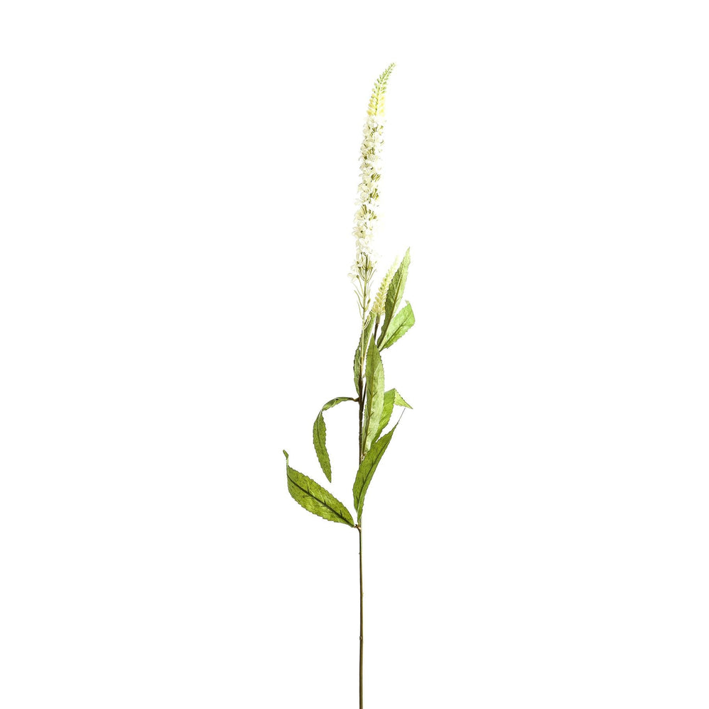 White Veronica Stem - Canwell Interiors Limited - Hills