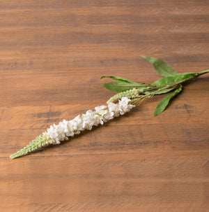 White Veronica Stem - Canwell Interiors Limited - Hills