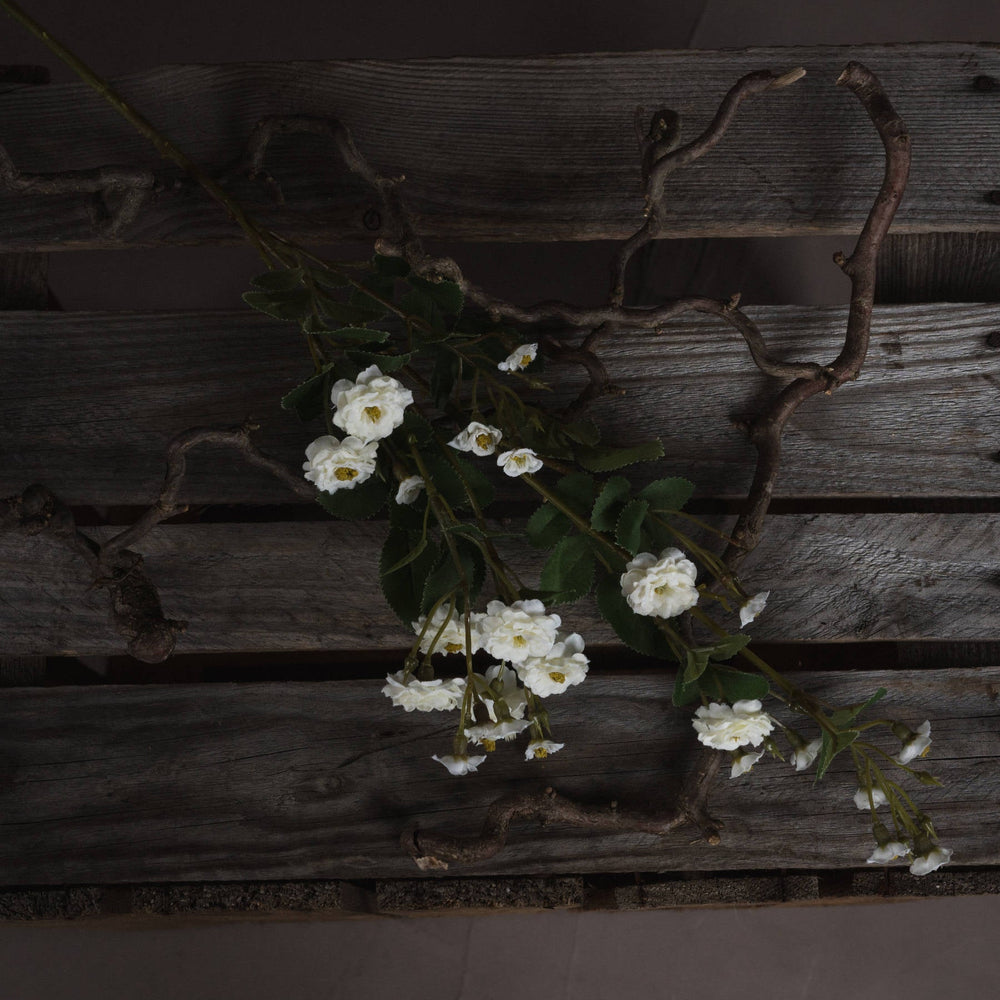 White Wild Meadow Rose - Canwell Interiors Limited - Hills