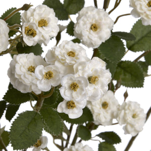 White Wild Meadow Rose - Canwell Interiors Limited - Hills