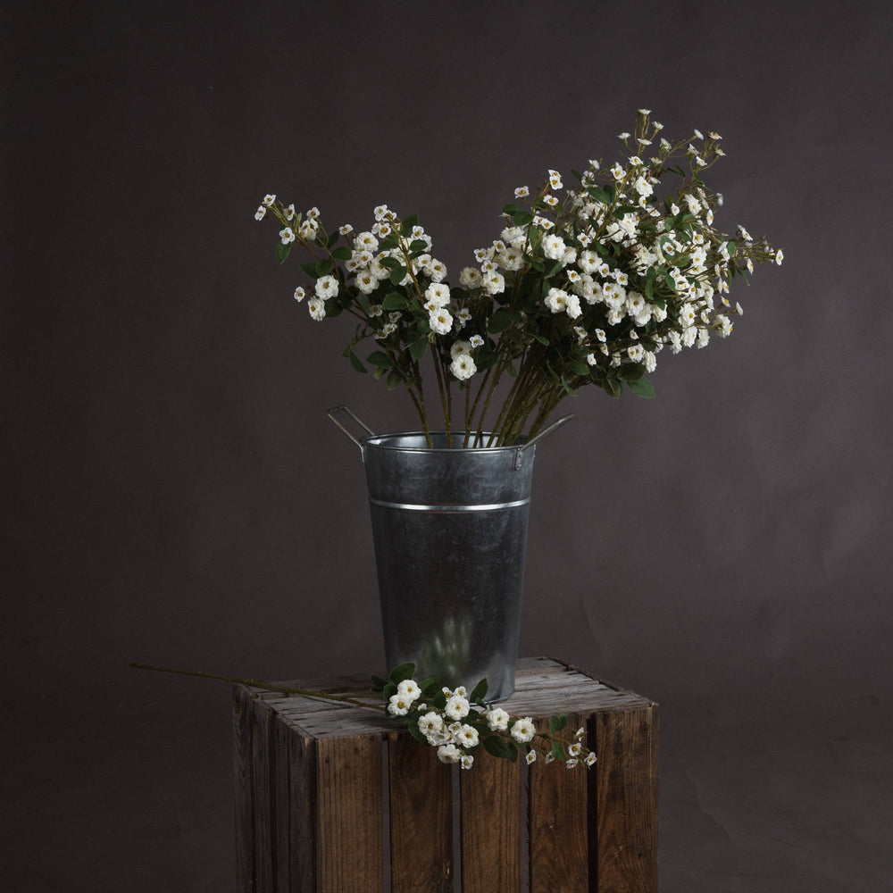 White Wild Meadow Rose - Canwell Interiors Limited - Hills