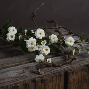 White Wild Meadow Rose - Canwell Interiors Limited - Hills