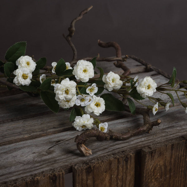 White Wild Meadow Rose - Canwell Interiors Limited - Hills