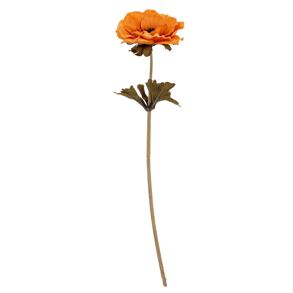 Yellow Anemone Stem - Canwell Interiors Limited - Hills