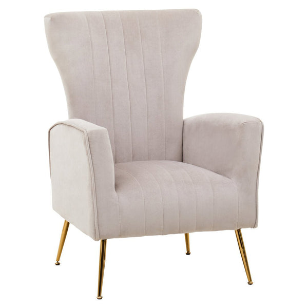 Zamora Mink Velvet Accent Chair With Gold Finish Legs - Canwell Interiors Limited - Xshowhome