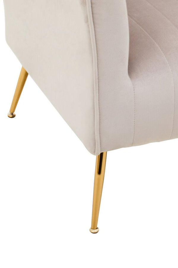 Zamora Mink Velvet Accent Chair With Gold Finish Legs - Canwell Interiors Limited - Xshowhome