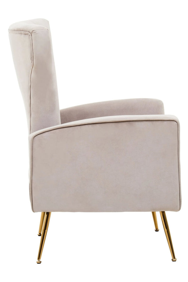Zamora Mink Velvet Accent Chair With Gold Finish Legs - XShowhome Limited - Xshowhome
