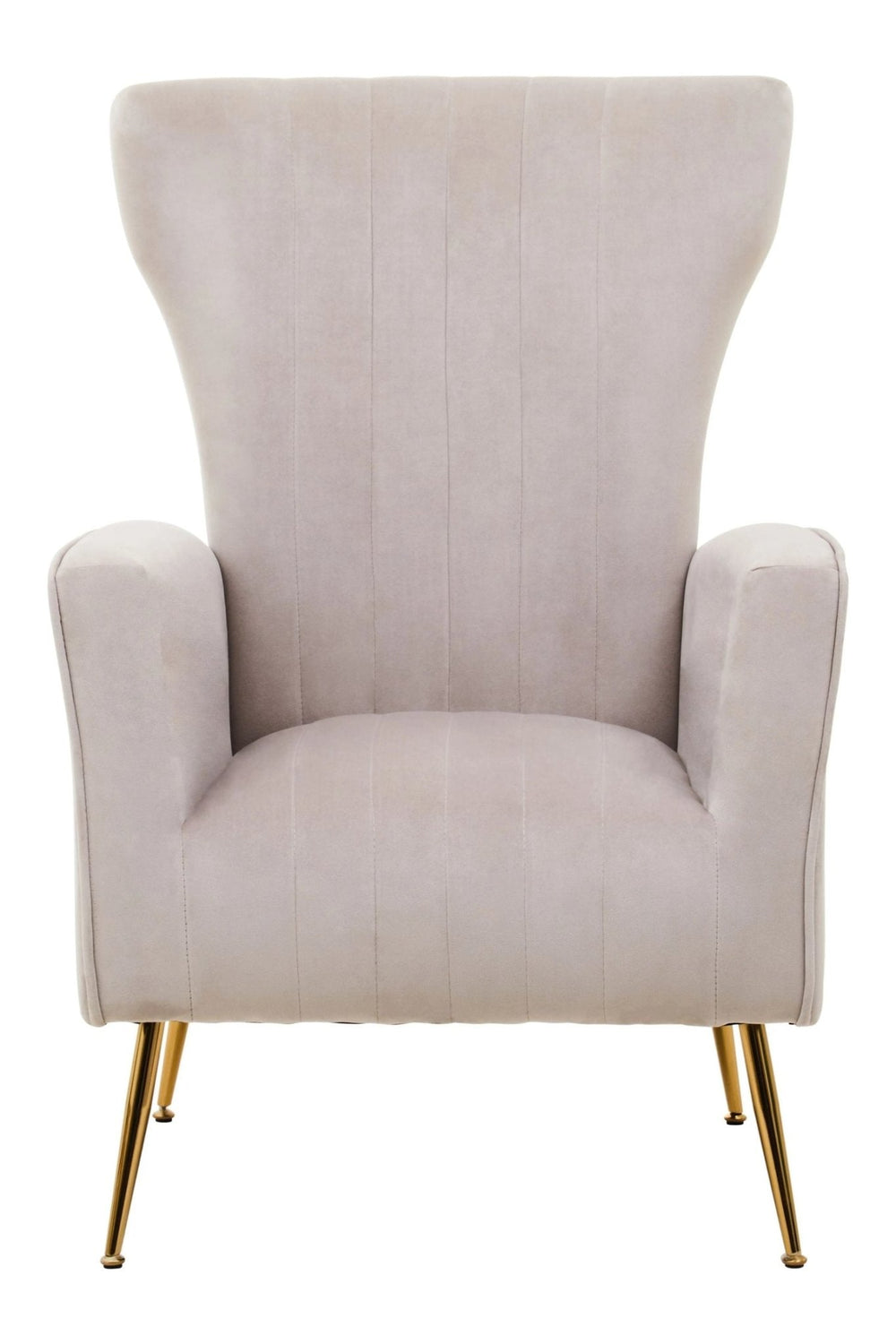 Zamora Mink Velvet Accent Chair With Gold Finish Legs - XShowhome Limited - Xshowhome